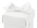 10 Geschenkboxen Weiß mit Satinband 5,2 cm