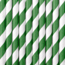 Papier-Trinkhalme Grün Weiß gestreift 10...